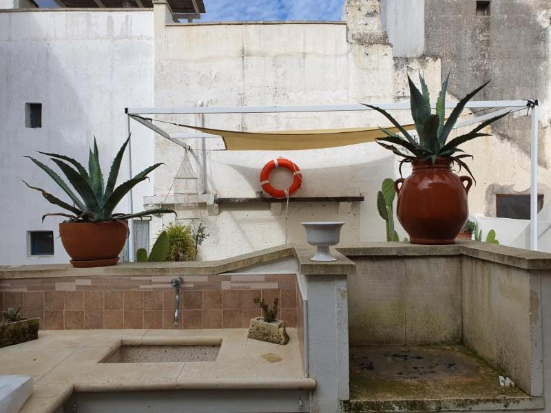 Casa Vacanze Marangonパラービタ エクステリア 写真