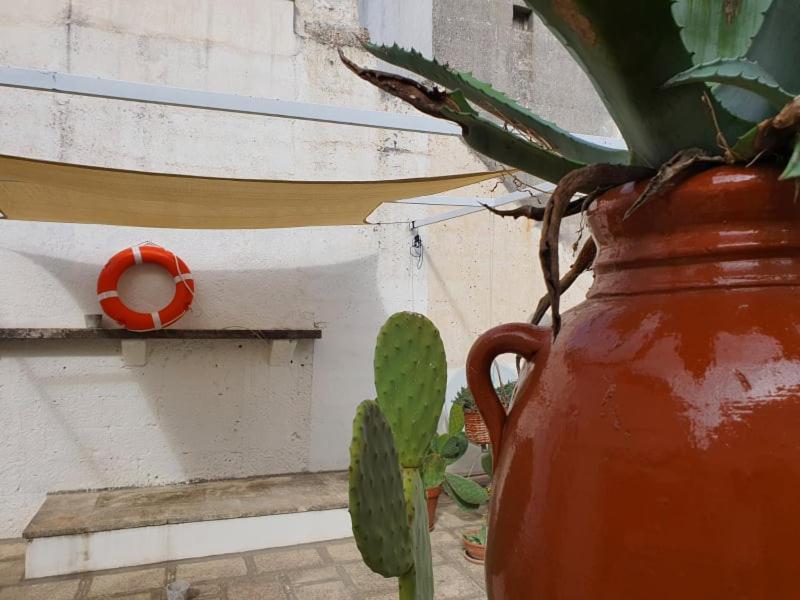 Casa Vacanze Marangonパラービタ エクステリア 写真